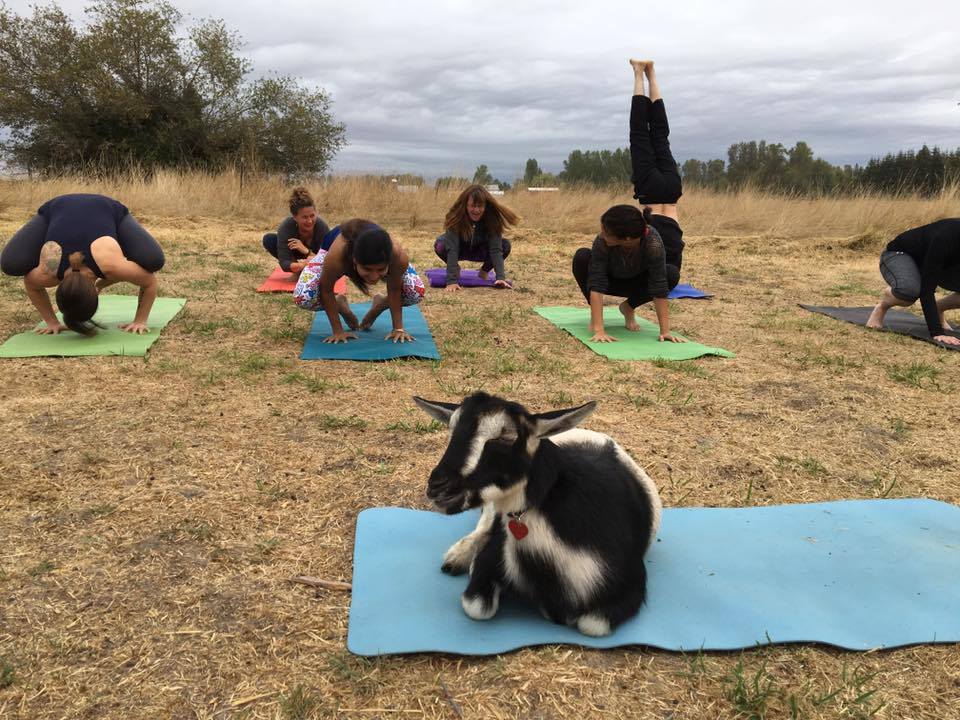 14358986_563495770505550_8505317011994729194_n - Copy