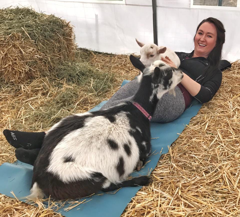 17522573_660417227480070_4289251015395713410_n