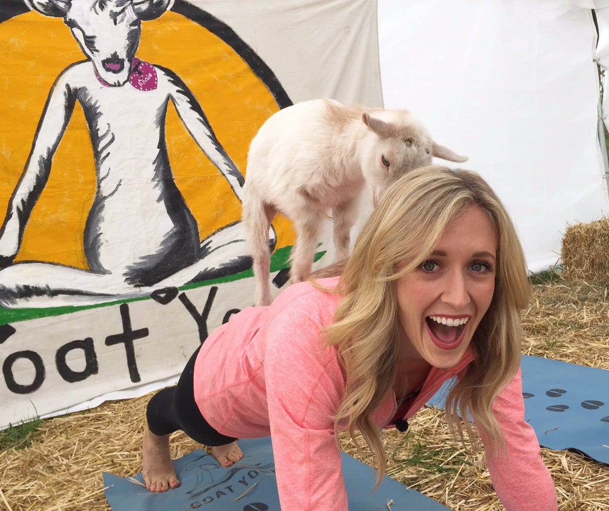 Original Goat Yoga