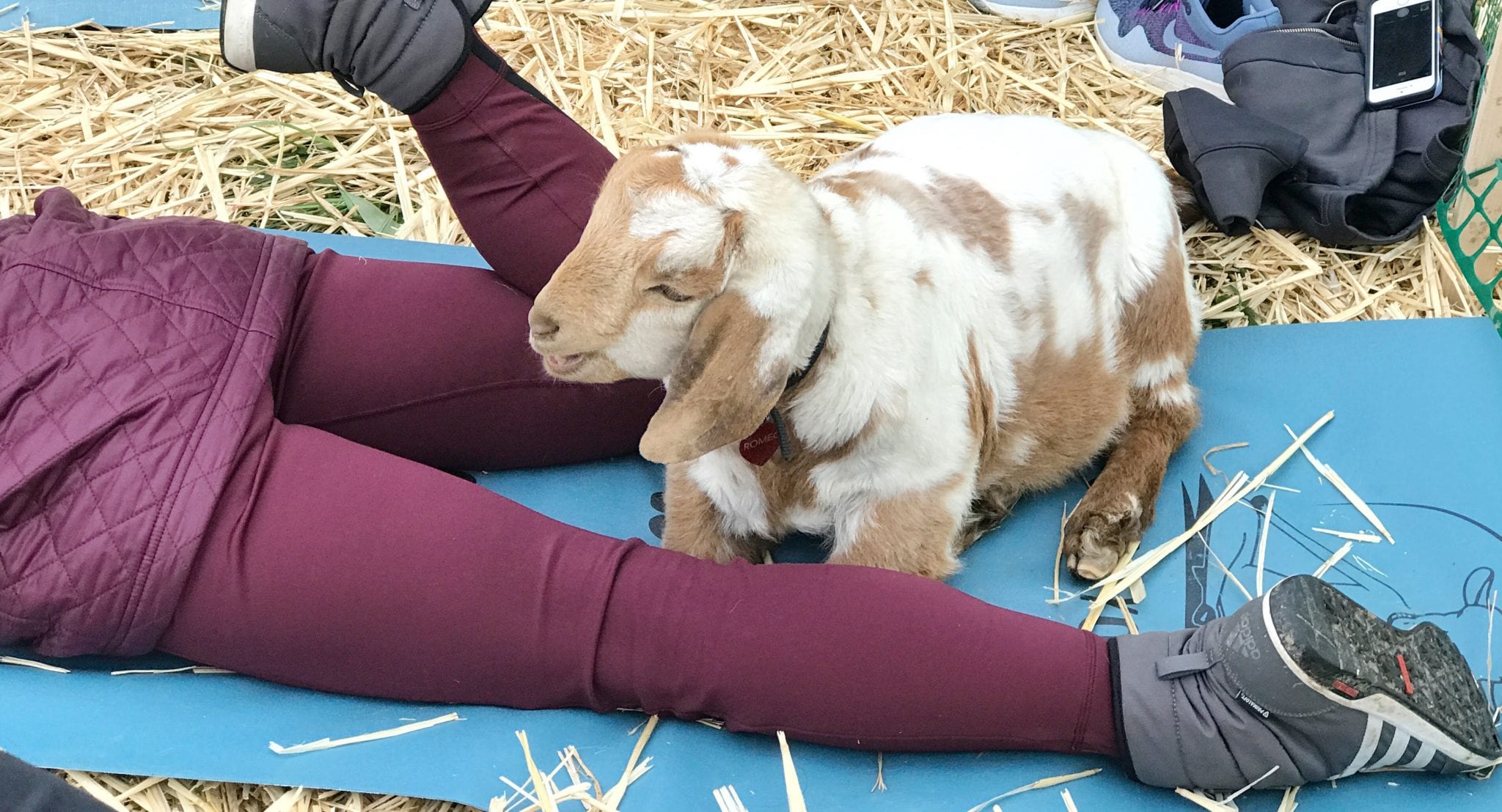 Photo Mar 27, 4 43 05 PM