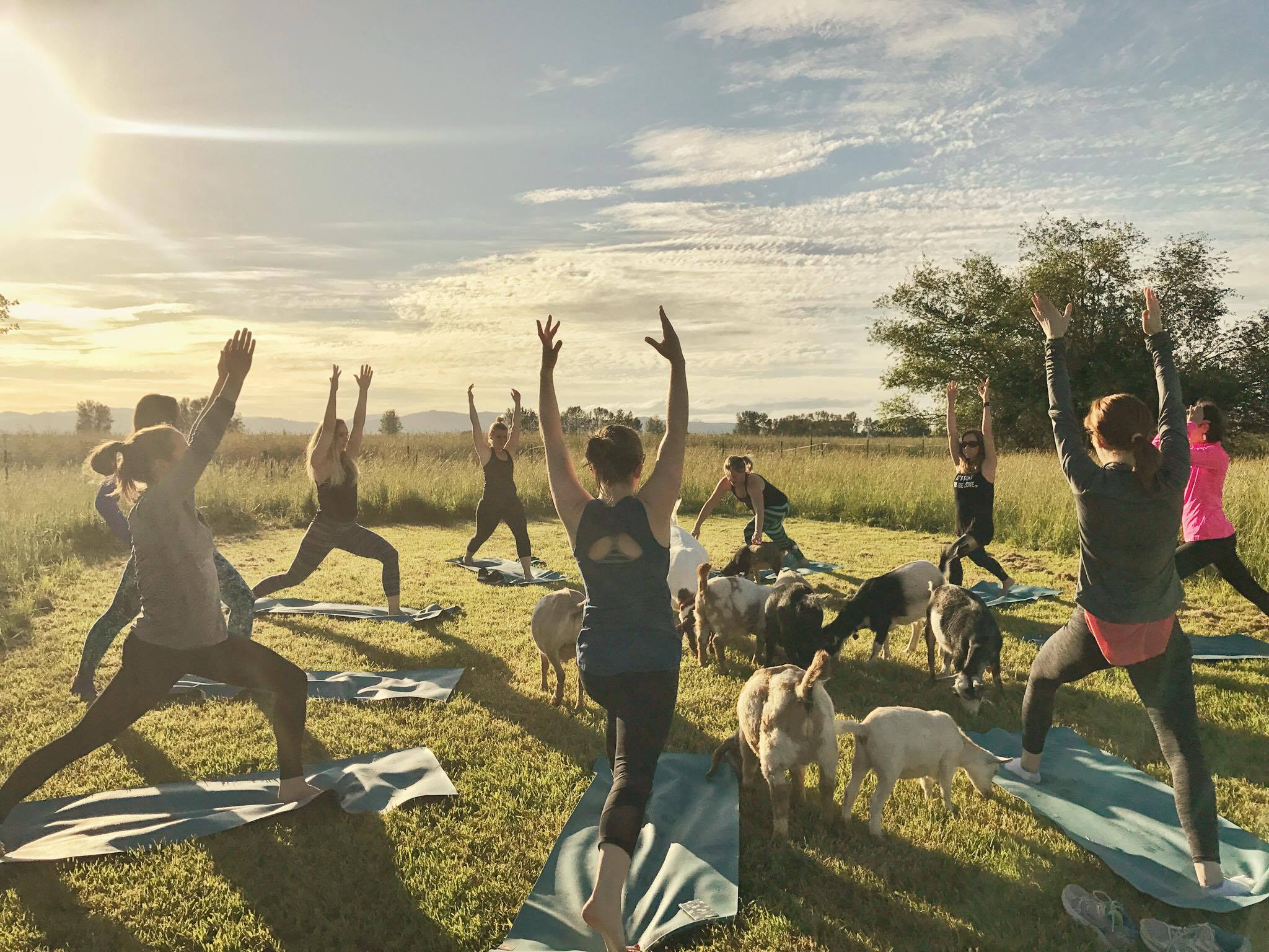 19105081_10211593529567316_824401882_o