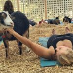 Health Benefits of Goat Yoga | Original Goat Yoga™ & Goat Happy Hour®