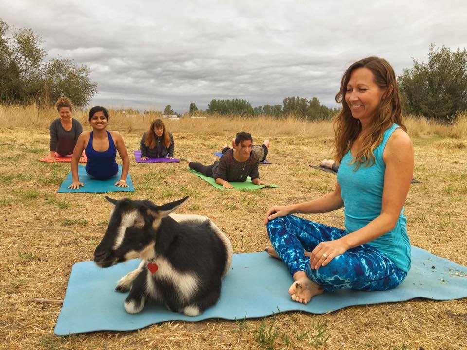 14344829_563495803838880_8114816438167104804_n-1 - Copy