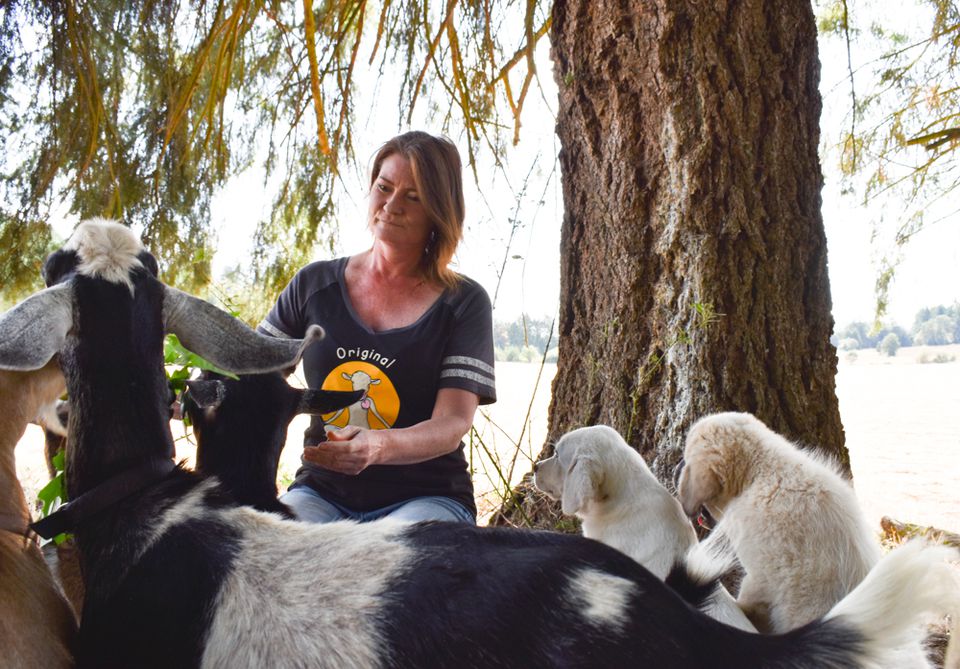 6XCUS2C2MVFABAXO52ZG24FEAY