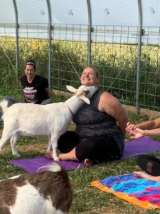 A goat snuggling a woman at goat yoga