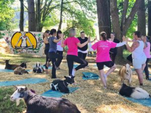 Corvallis Clinic Cancer Survivors