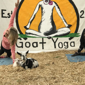 Original Goat Yoga 2020 Fitness Trend