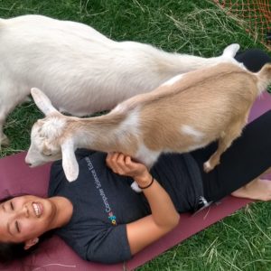 Original Goat Yoga
