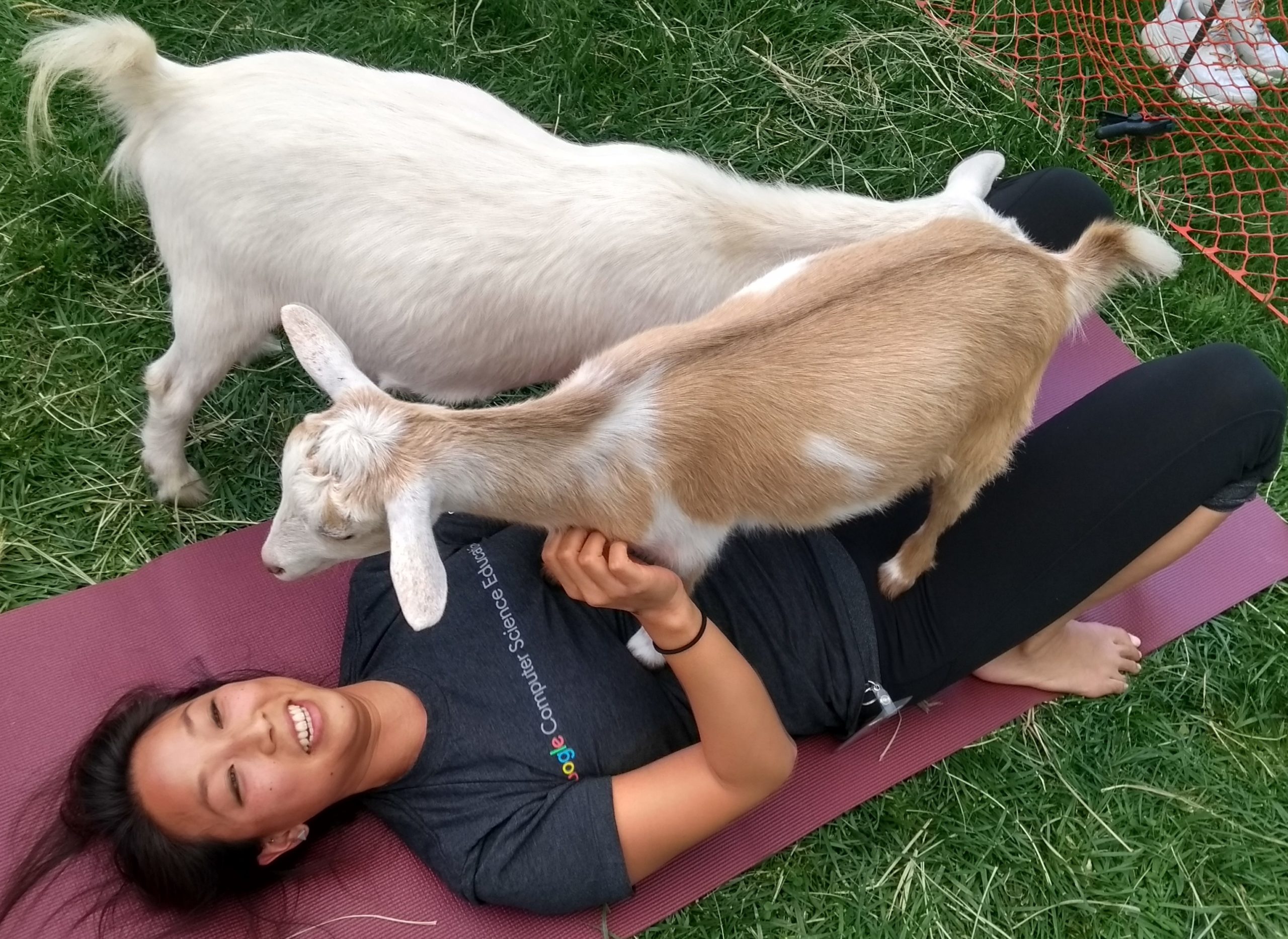 Original Goat Yoga