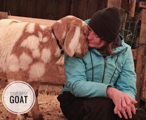 Goat Therapy