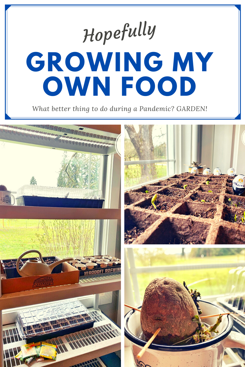 Growing Your Own Food