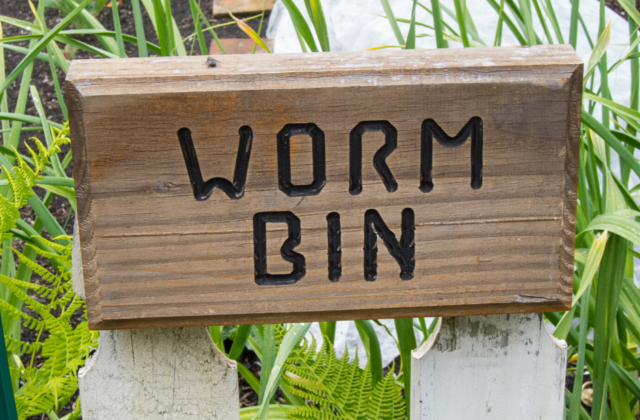 Worm Bin