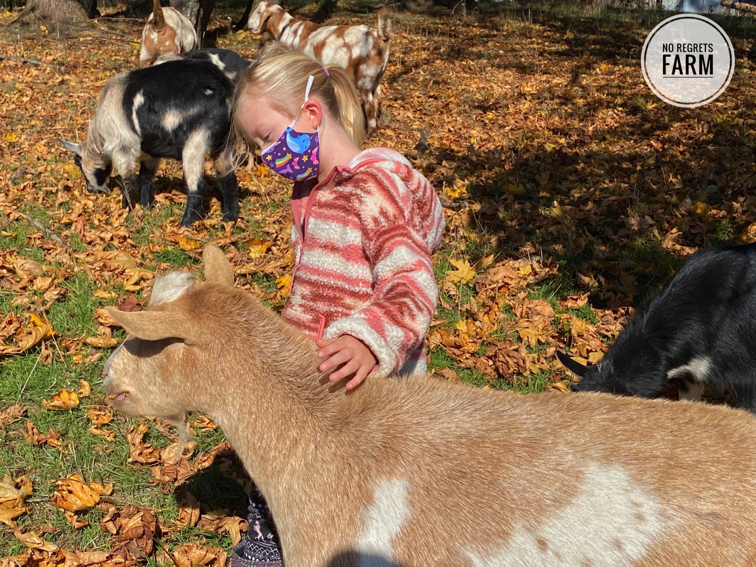 123956759_3440545712695547_9018477682674962004_n