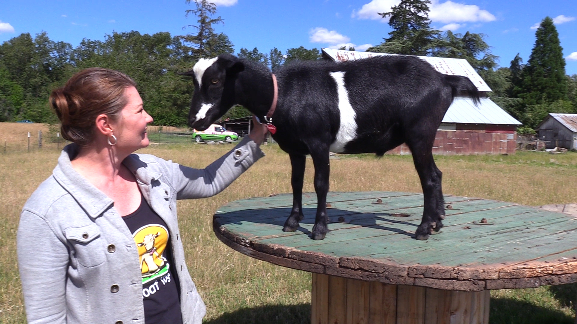 Goats_NoRegrets_2018.00_08_17_18.Still001