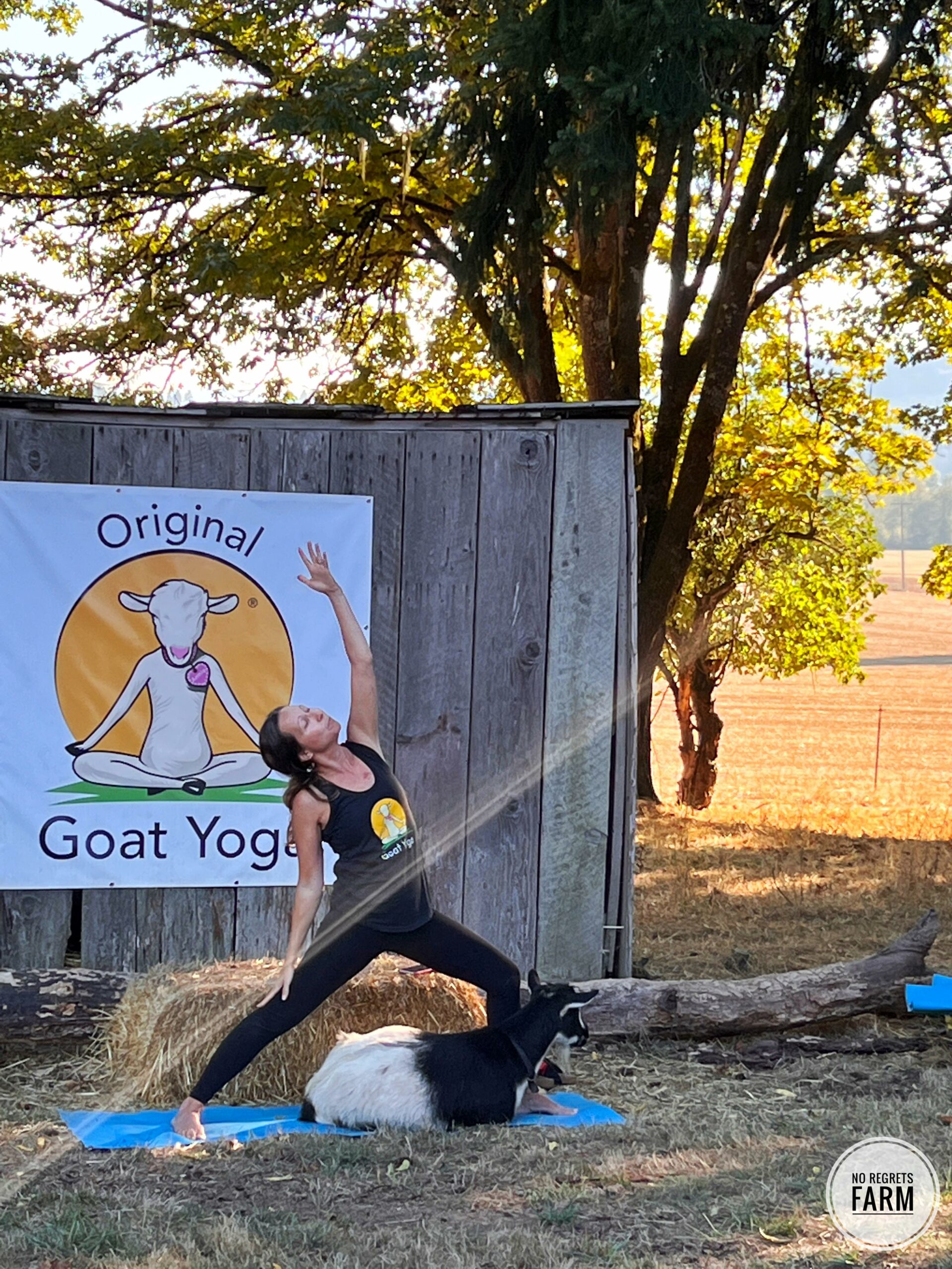 307112559_5672154696193888_8469718390232995747_n