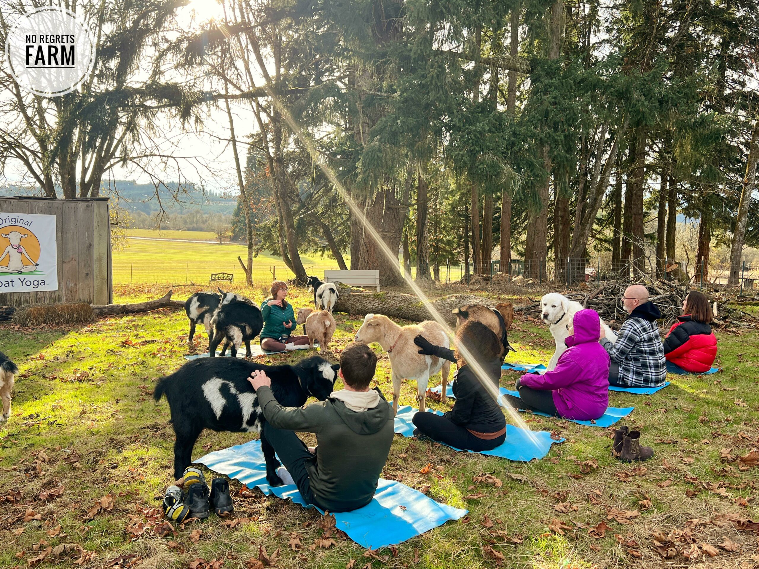 317184714_1341010350056722_1306326561575171720_n