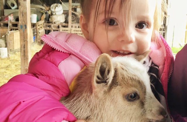 12936752_10207883983750989_6400059835880609252_n-640x420