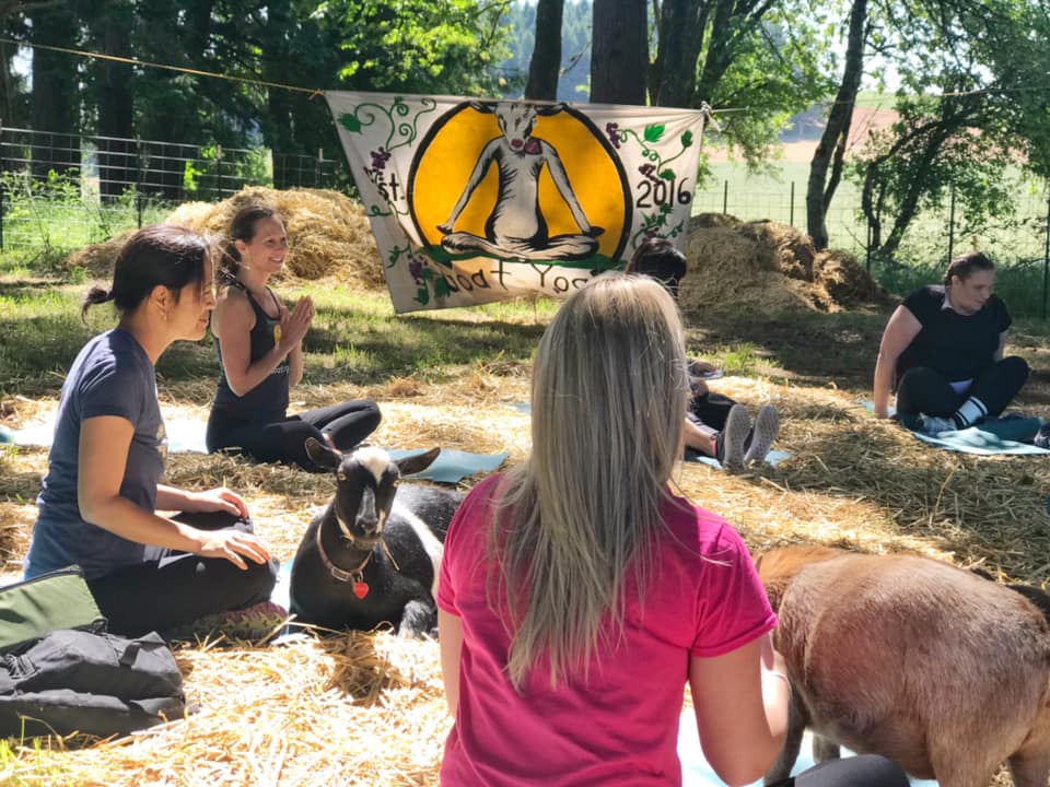 61782706_867065553652333_7612738169615679488_n