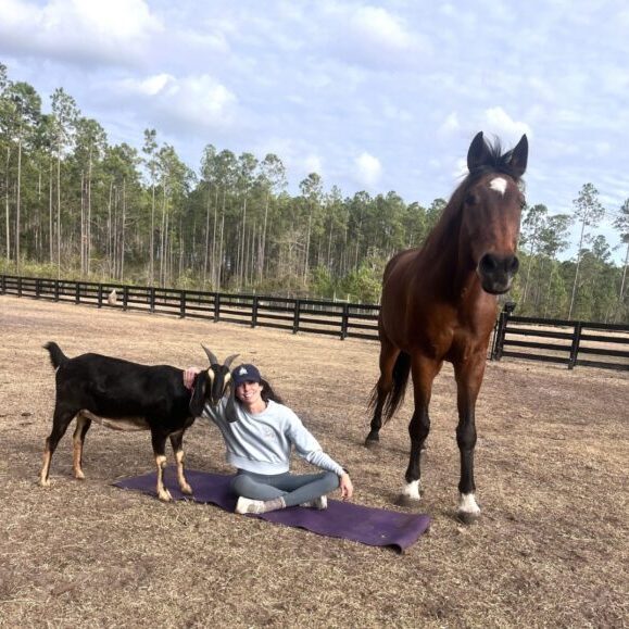 3nl6xd_25b4f95d-4f76-4e5f-bd8d-e8e3466e6d4a-600x579