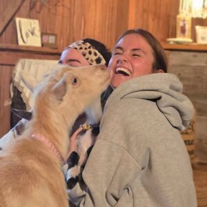 kavg5d_748a6a0c-6797-43eb-a542-5f2ec4738bbf-300x300