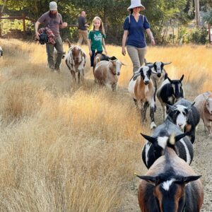 vyfmdj_54c7aed3-d024-4933-a53a-1f29a8ab4a00-300x300